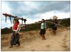 7/madagascar 158.jpg kim (Small).jpg